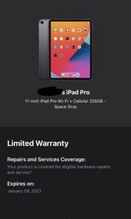 iPad Pro 11” Black 256Gb GPS+cellular