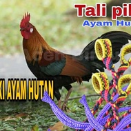 TALI KAKI AYAM HUTAN / TALI PIKAT AYAM HUTAN