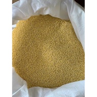 Golden Sticky Rice Millet