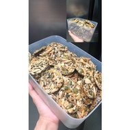 florentine cookies 🤗