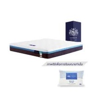 ที่นอนพ็อกเก็ตสปริง 3.5 ฟุต LOTUS รุ่น ASLEEP III พร้อมหมอนหนุน 1 ใบ (1285427)