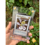 [ 6x9cm ] Odd Toploader 35PT/ set of 100 Sleeves/ Plastic tray to protect cards - Baystore