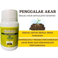 Penggalak akar thailand Root booster