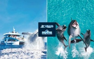 Sea World Whale Watching Experience dengan Tiket Sea World