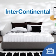 Home Best ที่นอนยางพาราล้วน 100% รุ่น Intercontinental หนา5 นิ้ว ที่นอน นุ่มแน่น ที่นอนยางพารา บอกลาอาการปวดหลัง 3ฟุต 3.5ฟุต 5ฟุต 6ฟุต mattress