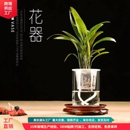 [48H Shipping] Glass Vase High Aesthetic Soilless Hydroponic Plant Fish Tank Ecological Bottle Micro