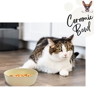 CP Simple Economy Pet Bowl Imperfect Ceramic cat bowl Cute Budget Pets Utensil Food Feeder for Cat D
