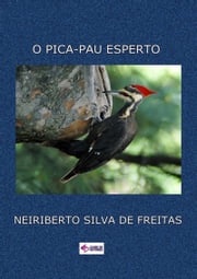O Pica-pau Esperto Neiriberto Silva De Freitas