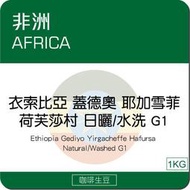 莉普森【咖啡生豆】2022新產季■衣索比亞 蓋德奧 耶加雪菲鎮 荷芙莎村 厭氧日曬 G1