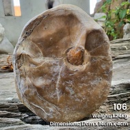 SUISKI STONE NATURAL STONE UNIQUE STONE ORIGINAL SUISKI DISPLAY STONE SUISKI STONE (1.1kg-1.3kg)