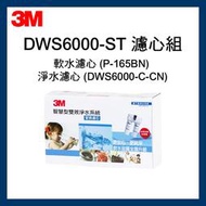 【3M原廠公司貨】最新效期 DWS6000專用兩道濾心 P-165BN+DWS6000-C-CN