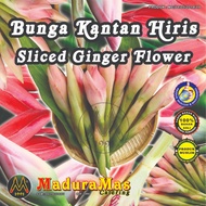 ( 🔥 Jualan Borong🔥 ) Bunga Kantan Hiris - Sliced Ginger Flower 500g - 1 kg ( 100% Asli )