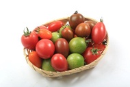 產銷履歷彩色小番茄10盒 600g*10盒/箱
