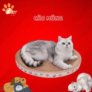 2-in-1 Scratcher for Cats, Scratcher and Stress Relief Bed for Cats