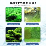 Green algae remover for fish tanks, removes brown algae, black moss, and green algae, eliminates pet
