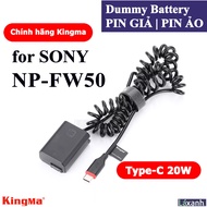 Dummy Type-C FW50 | Pin giả pin ảo pin dummy battery DC Coupler NP-FW50 cho SONY FW50 A6000 a6100 A6