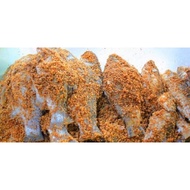 IKAN PEKASAM/IKAN PEKASAM