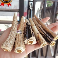 Ready || Pipa Once Tanduk Kijang 9-11