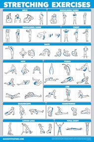 QUICKFIT Stretching Workout Exercise Poster - Stretch Routine (Laminated, 18" x 27")