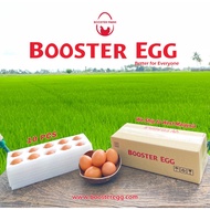 Booster Egg -10pcs I Organic Selenium-Enriched I Pomegranate & Beetroot I 100% Vegetarian Fed I Fres