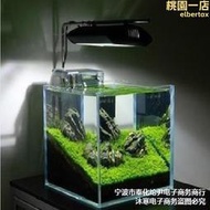 【口碑推薦】金晶超白魚缸 迷你水族箱 生態缸20/25cm 30-50釐米小方缸熱彎缸