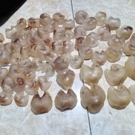 Gelembung Ikan Buntal 100 gram