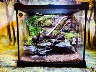 訂做 蟹缸 辣椒蟹 惡魔蟹專用 爬蟲缸 水陸缸 守宮 鼠婦 造景設計 苔蘚微景觀  青龍石景 苔蘚生態瓶 植物擺件 桌面擺設 窗台裝飾 苔蘚花園 懶人植物 辦公室擺設 情緒治癒 禮物