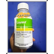 LOYANT DOW RACUN RUMPAI PADI PASCA CAMBAH 500ml/Racun Rumpai/