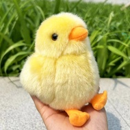 QIAOSHANG | Đồ Chơi Búp Bê Gà Con và Vịt Con