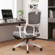 [Sg Sellers]Ergonomic Office Computer Chair Study Chair Office Chair High Back Mesh Computer Chair with Lumbar Support, Foot Rest,3D Armrest, Double Backrest and Adjustable