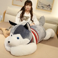 Boneka Husky bersaiz besar, haiwan boneka Husky yang comel, hadiah hari jadi, boneka borong.