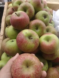 buah apel hijau malang 1 kg