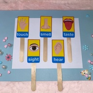 ESL FLASHCARD - 5 Senses Flashcard For Children