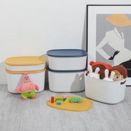 HS - 揭蓋式塑膠儲物箱（小號-無蓋款）儲物盒 雜物收納盒 收納箱 兒童收納