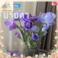 Artificial Iris Blue & Purple Natural Tone For Gardening Home Decoration Or Flower Art.