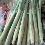 1 bunch of sugar cane eggs, sugar cane, endong sugarcane eggs, sugar cane eggs
