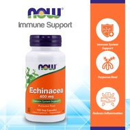 NOW Supplements, Echinacea (Purpurea Root) 400 mg, Immune System Support, 100 Veg Capsules