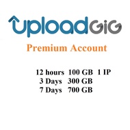 Uploadgig - 1 IP 12hours 100GB - Premium Account