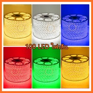 ไฟเส้น LED Strip ไฟสายยางท่อแบน 5050 HS (100 เมตร)(แถมฟรี ปลั๊กหัวจ่าย 5ตัว)