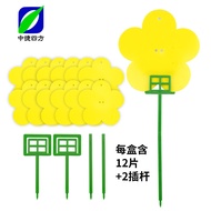 Sticky Fly Traps for Indoor Gnats Fruit Flies Yellow Double-Sided Glue Boards Insect Catcher Sticky 