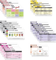 Nurse Nation 30 Horizontal Nursing Badge Reference Cards - Lab Values, EKG, Vitals, and More! (Bonus