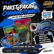 CHANNA STEWARTI FEED PACKAGE (Push Fin Fin Tail biru, White Shining, Full Dot) Free Channa Sticker