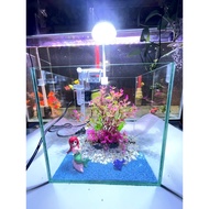 Mini desktop fish tank size 20x15x20