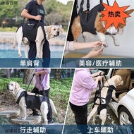 Out Injured Strap Auxiliary Dog Stress-Reducing Dog Injured Dog Strap Auxiliary Aged Age Dog Back Le