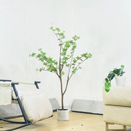 (พร้อมส่ง)ต้นระฆังญี่ปุ่น ต้นไม้ปลอม ต้นไม้ตกเเต่งบ้านสไตล์มินิมอล ต้นไม้ญี่ปุ่น ต้นไม้ปลอม ต้นPlant-L(DZ)