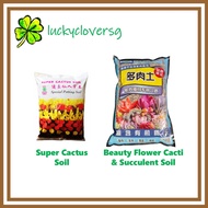 Cacti And Succulent Potting Mix / Super Cactus Soil (1kg / 1.5L) / Beauty Flower Cacti & Succulent S