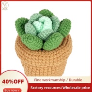 Crochet Kit Beginners Crochet Kit Crochet  Kit DIY Succulent Potted Plant Crochet Kit with Knitting 