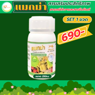 <<ส่งฟรี‼️>>แมกม่าลาวา (ขนาด 250 cc ชุด 1 ขวด) สารจับใบ เสริมประสิทธิภาพ ต้านเพลี้ย ลดการหลุดร่วง