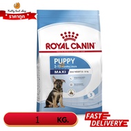 (Exp 10/2025) Royal Canin อาหารลูกสุนัข พันธุ์ใหญ่ ชนิดเม็ด (MAXI PUPPY) 1kg.