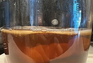 康普茶紅茶菌  Kombucha scoby